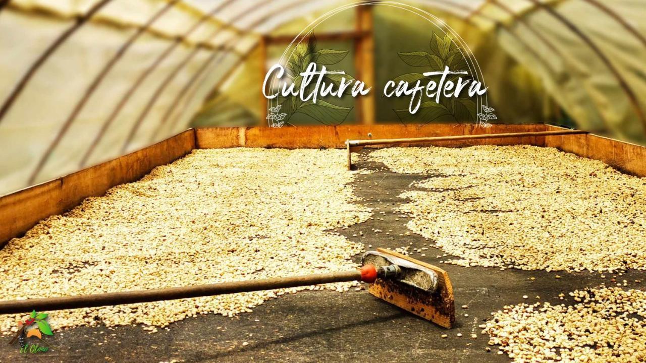 Pijao Finca Tradicional El Otono المظهر الخارجي الصورة