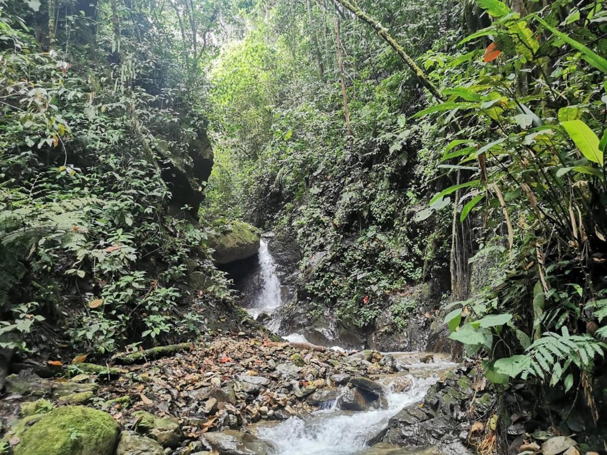 Pijao Finca Tradicional El Otono المظهر الخارجي الصورة