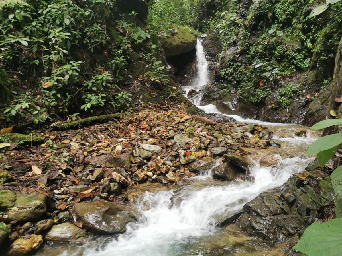 Pijao Finca Tradicional El Otono المظهر الخارجي الصورة