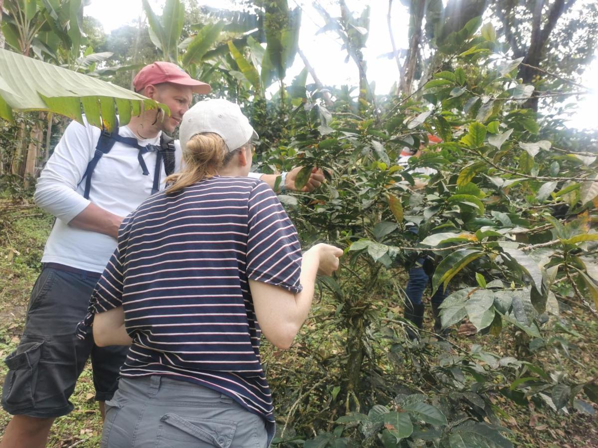 Pijao Finca Tradicional El Otono المظهر الخارجي الصورة