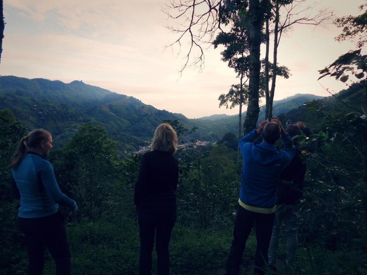 Pijao Finca Tradicional El Otono المظهر الخارجي الصورة