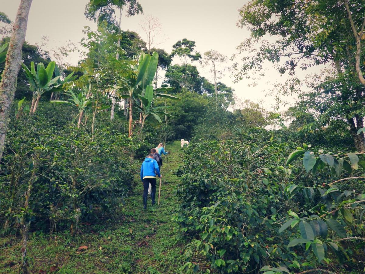 Pijao Finca Tradicional El Otono المظهر الخارجي الصورة
