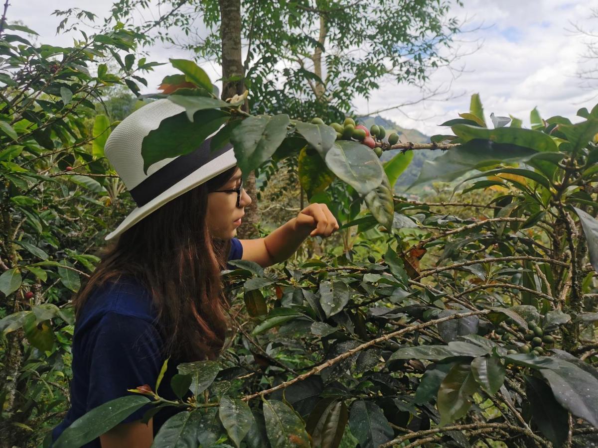 Pijao Finca Tradicional El Otono المظهر الخارجي الصورة