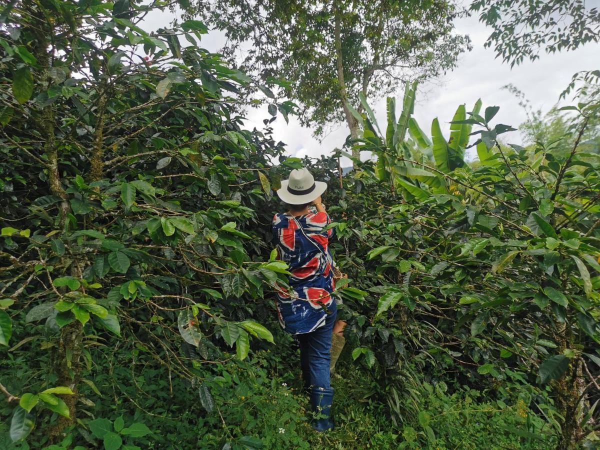 Pijao Finca Tradicional El Otono المظهر الخارجي الصورة